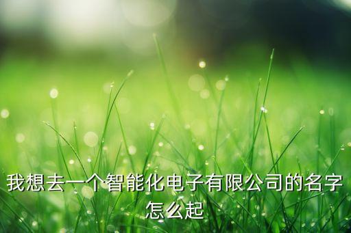 適合智能化的公司名字，智能科技公司起什么名字