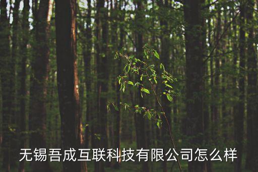 無錫吾成互聯(lián)科技有限公司怎么樣
