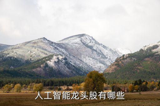 中國ai智能龍頭公司，國內(nèi)都哪些比較牛的人工智能公司
