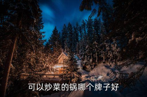 可以炒菜的鍋哪個牌子好
