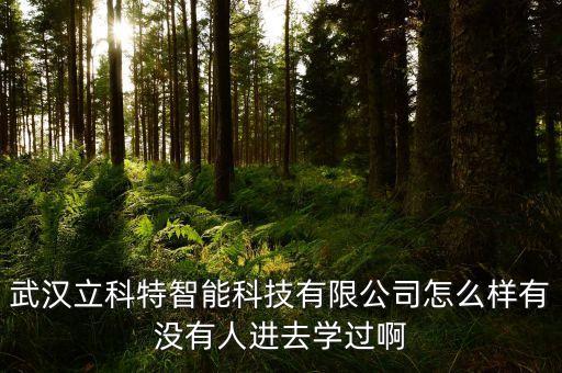 淘美克智能科技怎么樣，請(qǐng)問(wèn)深圳研祥智能科技股份有限公司情況如何