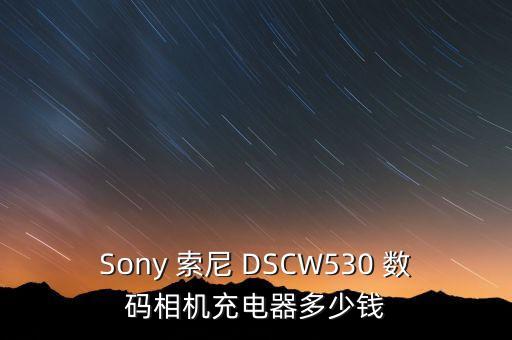 Sony 索尼 DSCW530 數(shù)碼相機(jī)充電器多少錢