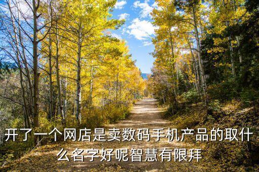 開了一個網(wǎng)店是賣數(shù)碼手機(jī)產(chǎn)品的取什么名字好呢智慧有限拜