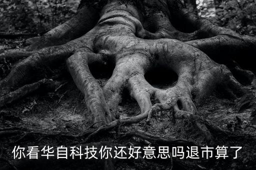 你看華自科技你還好意思嗎退市算了