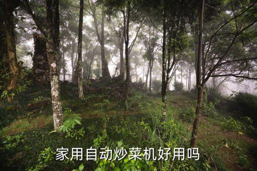 最好的自動(dòng)炒菜機(jī)，家用自動(dòng)炒菜機(jī)好用嗎