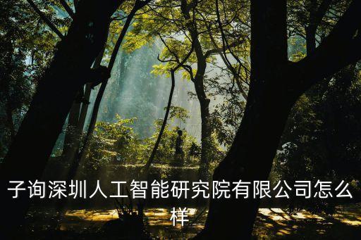 子詢(xún)深圳人工智能研究院有限公司怎么樣