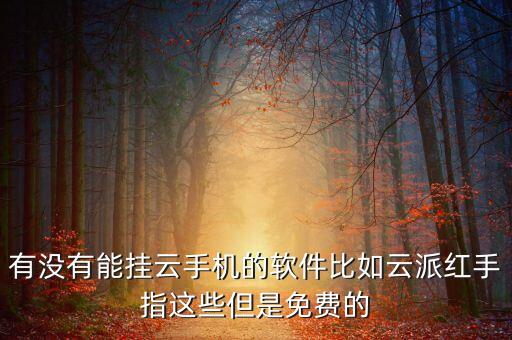 紅手指云手機(jī)免費(fèi)版無(wú)限掛機(jī)，有沒(méi)有能掛云手機(jī)的軟件比如云派紅手指這些但是免費(fèi)的