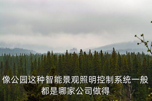 像公園這種智能景觀照明控制系統(tǒng)一般都是哪家公司做得
