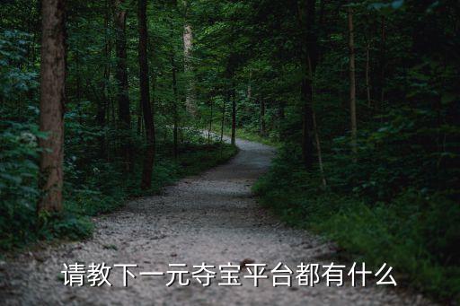 請教下一元奪寶平臺都有什么
