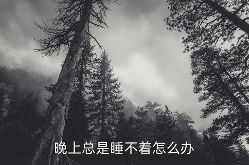 晚上總是睡不著怎么辦