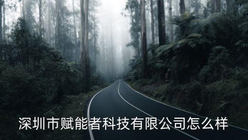 深圳市賦能者科技有限公司怎么樣
