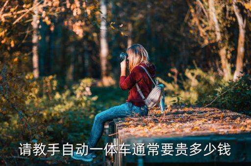請教手自動一體車通常要貴多少錢