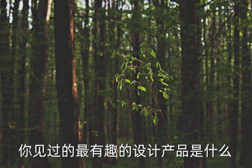 你見過的最有趣的設(shè)計產(chǎn)品是什么