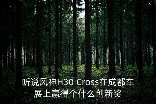 聽說(shuō)風(fēng)神H30 Cross在成都車展上贏得個(gè)什么創(chuàng)新獎(jiǎng)