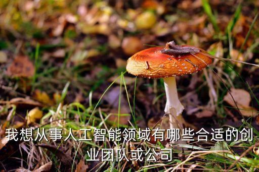 我想從事人工智能領(lǐng)域有哪些合適的創(chuàng)業(yè)團(tuán)隊(duì)或公司