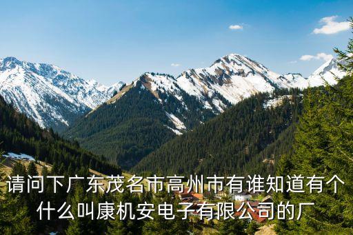 高州智能科技裝配廠在哪里，廣東省茂名市恒天電子科技有限公司