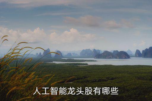 人工智能龍頭，人工智能芯片誰是龍頭 智能芯片上市企業(yè)有哪些