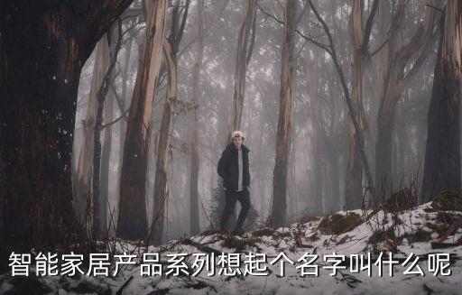 智能家居產品系列想起個名字叫什么呢