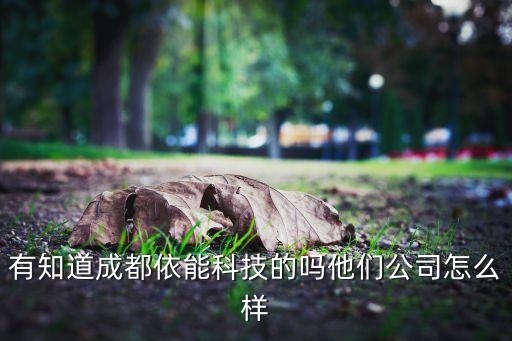 有知道成都依能科技的嗎他們公司怎么樣