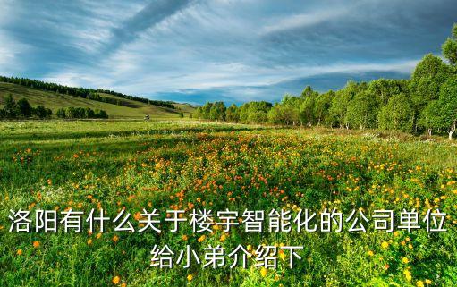 洛陽(yáng)有什么關(guān)于樓宇智能化的公司單位給小弟介紹下