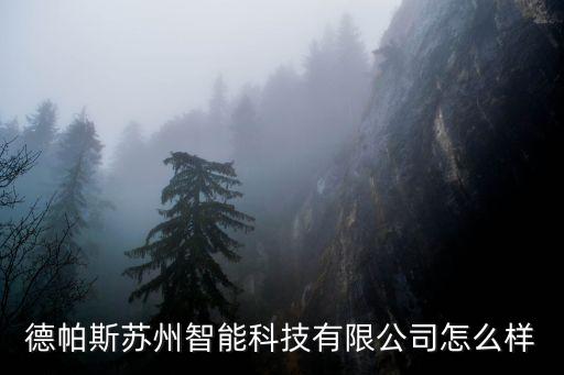 德帕斯蘇州智能科技有限公司怎么樣