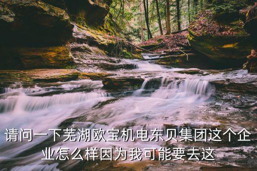 請(qǐng)問一下蕪湖歐寶機(jī)電東貝集團(tuán)這個(gè)企業(yè)怎么樣因?yàn)槲铱赡芤ミ@