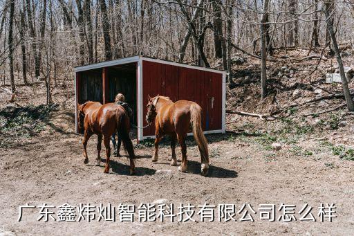 廣州煒華智能科技怎么樣，廣東鑫煒燦智能科技有限公司怎么樣