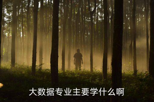大數(shù)據(jù)技術(shù)是學(xué)什么的，大數(shù)據(jù)專業(yè)主要學(xué)什么啊