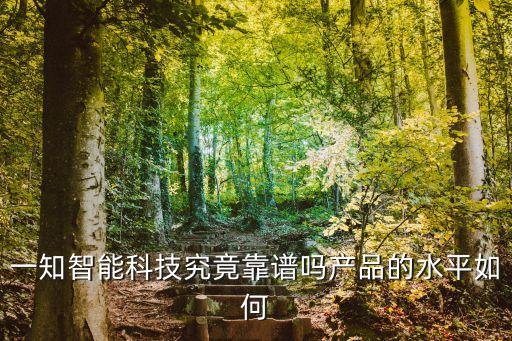 一知智能科技究竟靠譜嗎產(chǎn)品的水平如何