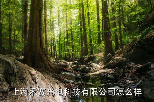 上海禾賽光電科技有限公司怎么樣