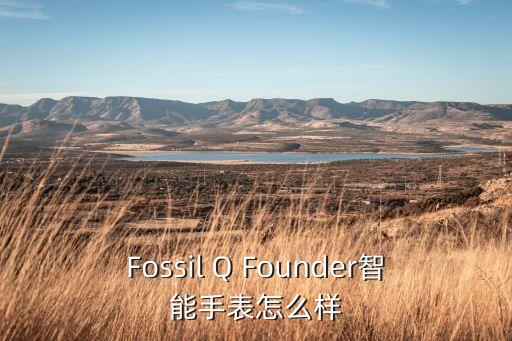 Fossil Q Founder智能手表怎么樣