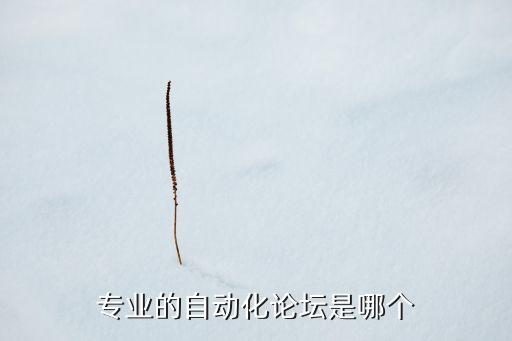 專業(yè)的自動(dòng)化論壇是哪個(gè)
