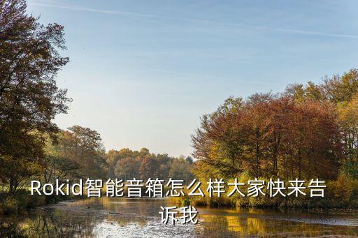 Rokid智能音箱怎么樣大家快來告訴我