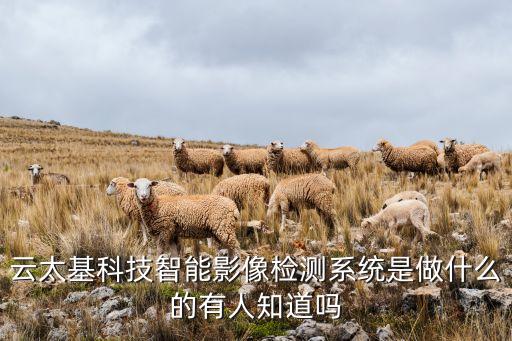 有陪科技智能陪護(hù)床多少錢，云太基科技智能影像檢測(cè)系統(tǒng)是做什么的有人知道嗎