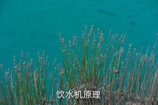 自制飲水機的科學(xué)原理，飲水機原理