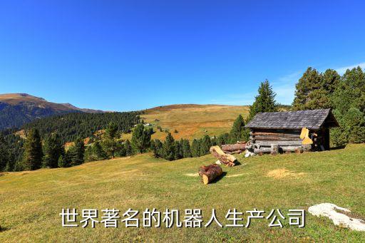 全球機器人排名前十的企業(yè)，世界著名的機器人生產(chǎn)公司