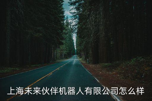 海安佐爾智能科技怎么樣，上海未來伙伴機器人有限公司怎么樣