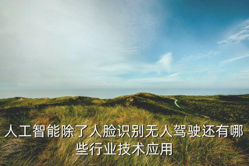 人工智能有哪些前沿科技，人工智能除了人臉識別無人駕駛還有哪些行業(yè)技術(shù)應(yīng)用