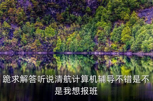 跪求解答聽說清航計算機輔導不錯是不是我想報班