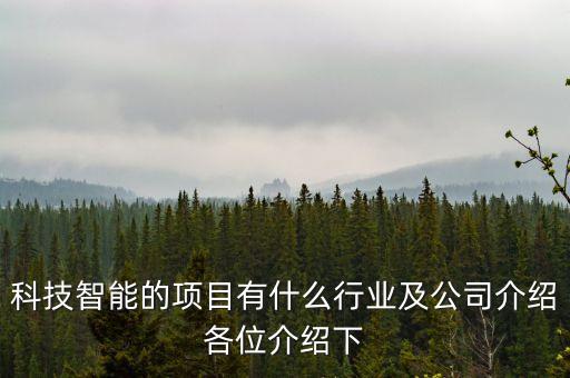 科技智能的項(xiàng)目有什么行業(yè)及公司介紹各位介紹下