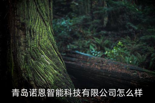 青島諾恩智能科技有限公司怎么樣