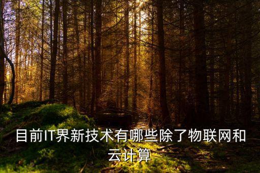 目前IT界新技術(shù)有哪些除了物聯(lián)網(wǎng)和云計(jì)算
