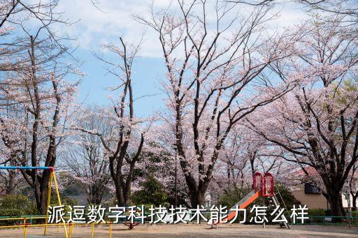 派逗數(shù)字科技技術(shù)能力怎么樣