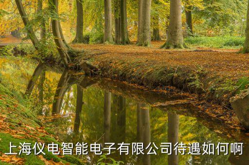 上海儀電智能電子有限公司待遇如何啊