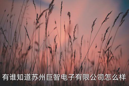 有誰知道蘇州巨智電子有限公司怎么樣