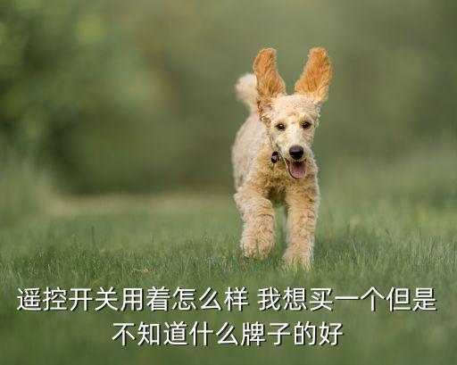 遙控開關(guān)用著怎么樣 我想買一個但是不知道什么牌子的好