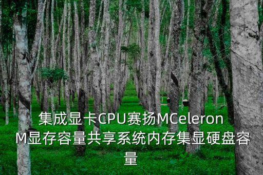 集成顯卡CPU賽揚MCeleron M顯存容量共享系統(tǒng)內(nèi)存集顯硬盤容量