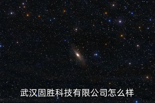 武漢固勝科技有限公司怎么樣