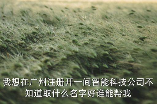 我想在廣州注冊(cè)開(kāi)一間智能科技公司不知道取什么名字好誰(shuí)能幫我
