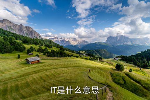 IT是什么意思